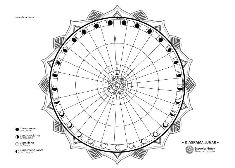 fases en blanco del diagrama de la luna