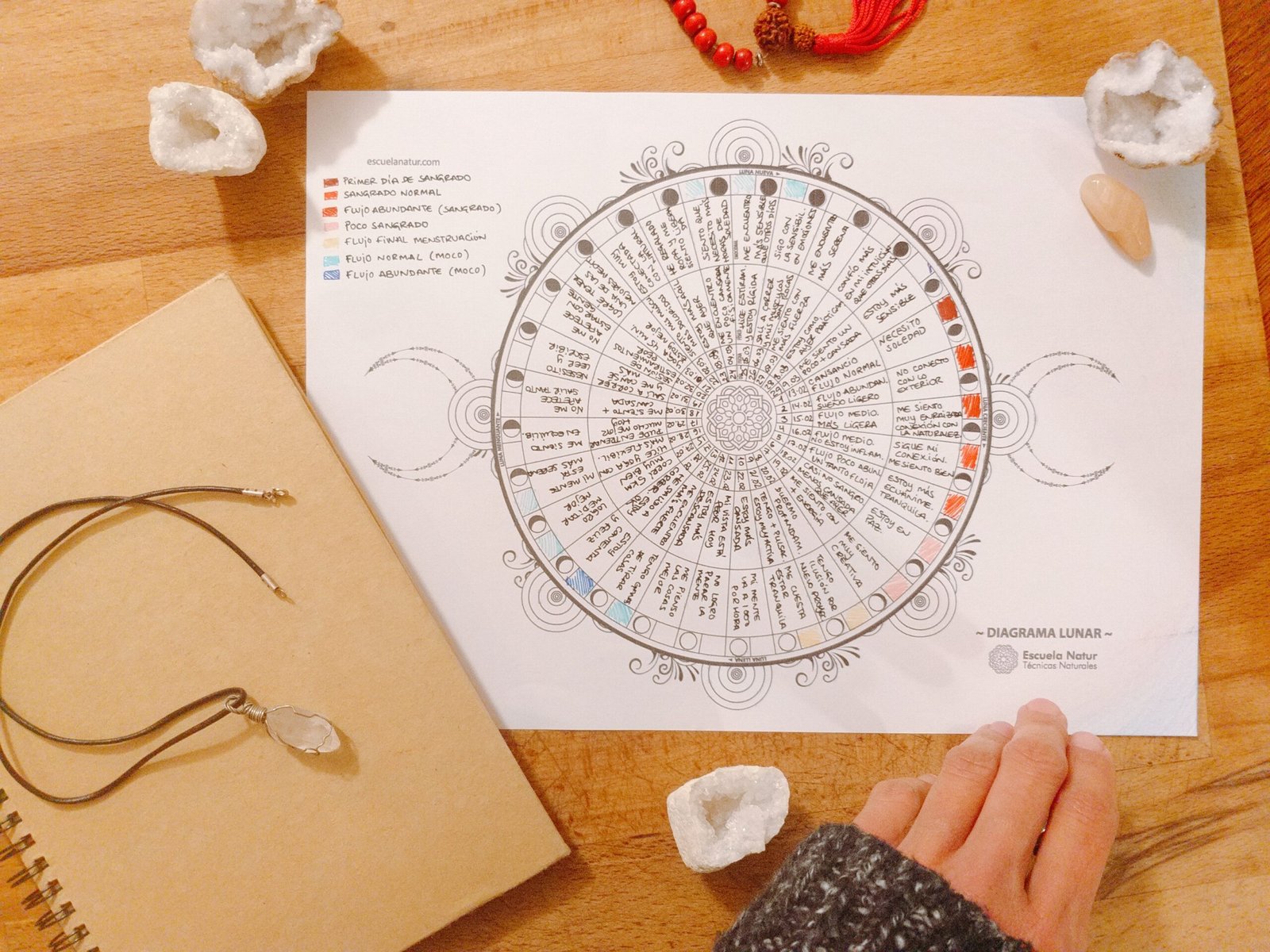 Diagrama lunar Escuela Natur