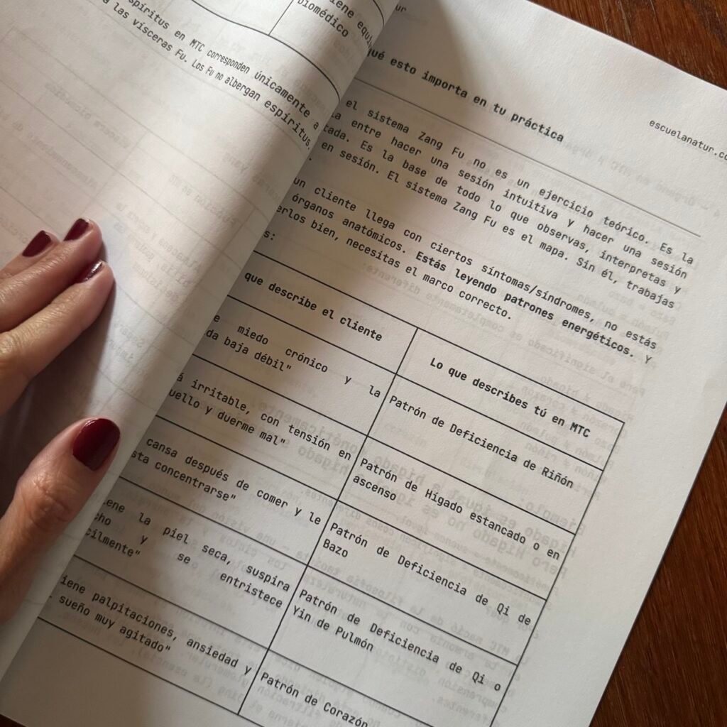 Guía de los Órganos en MTC
